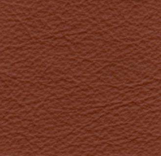 premium-leather-015.jpg